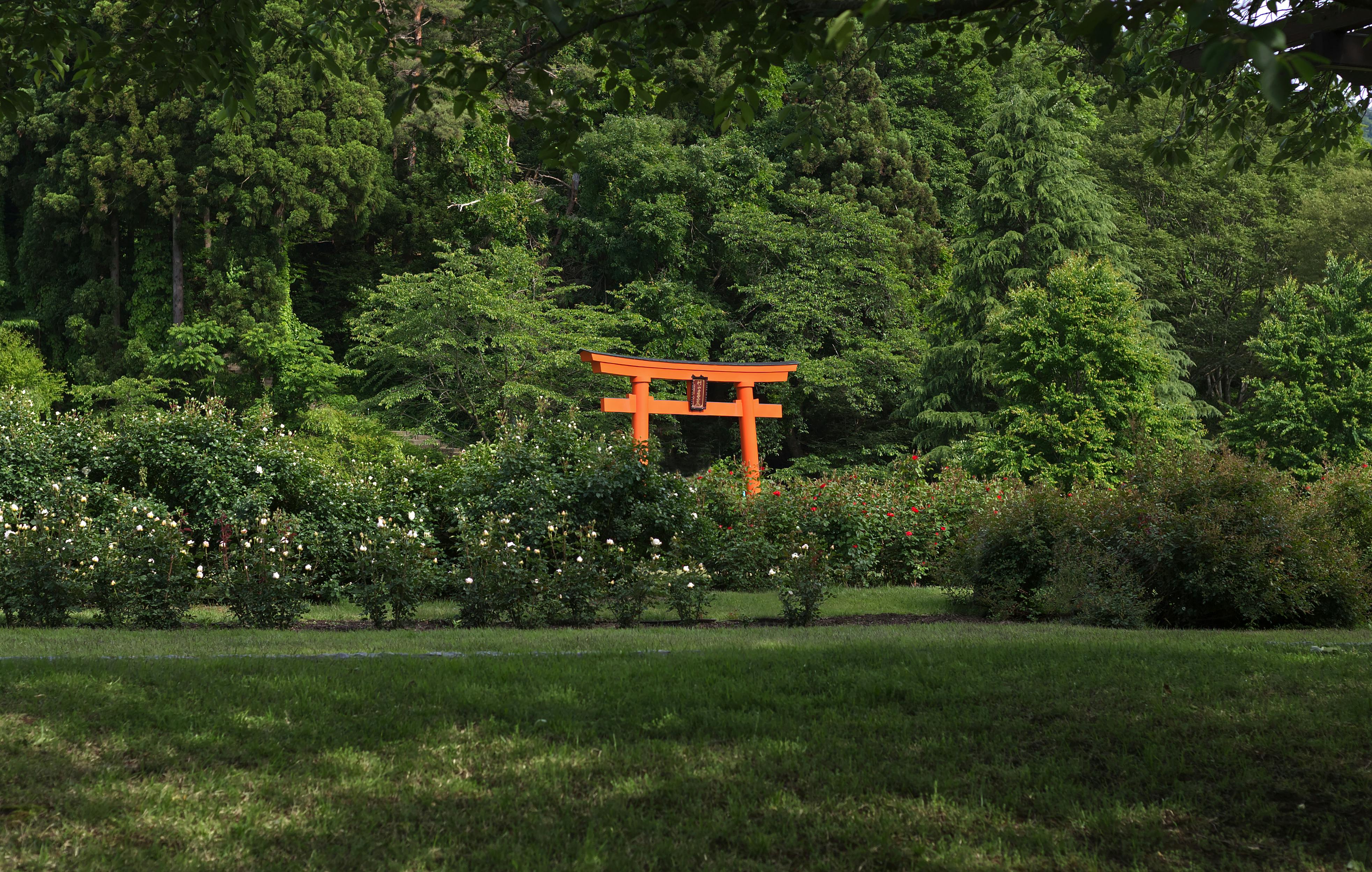 Yakushi-ji